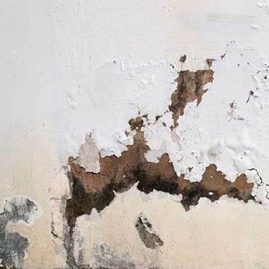 ARK Damp Proofing Manchester