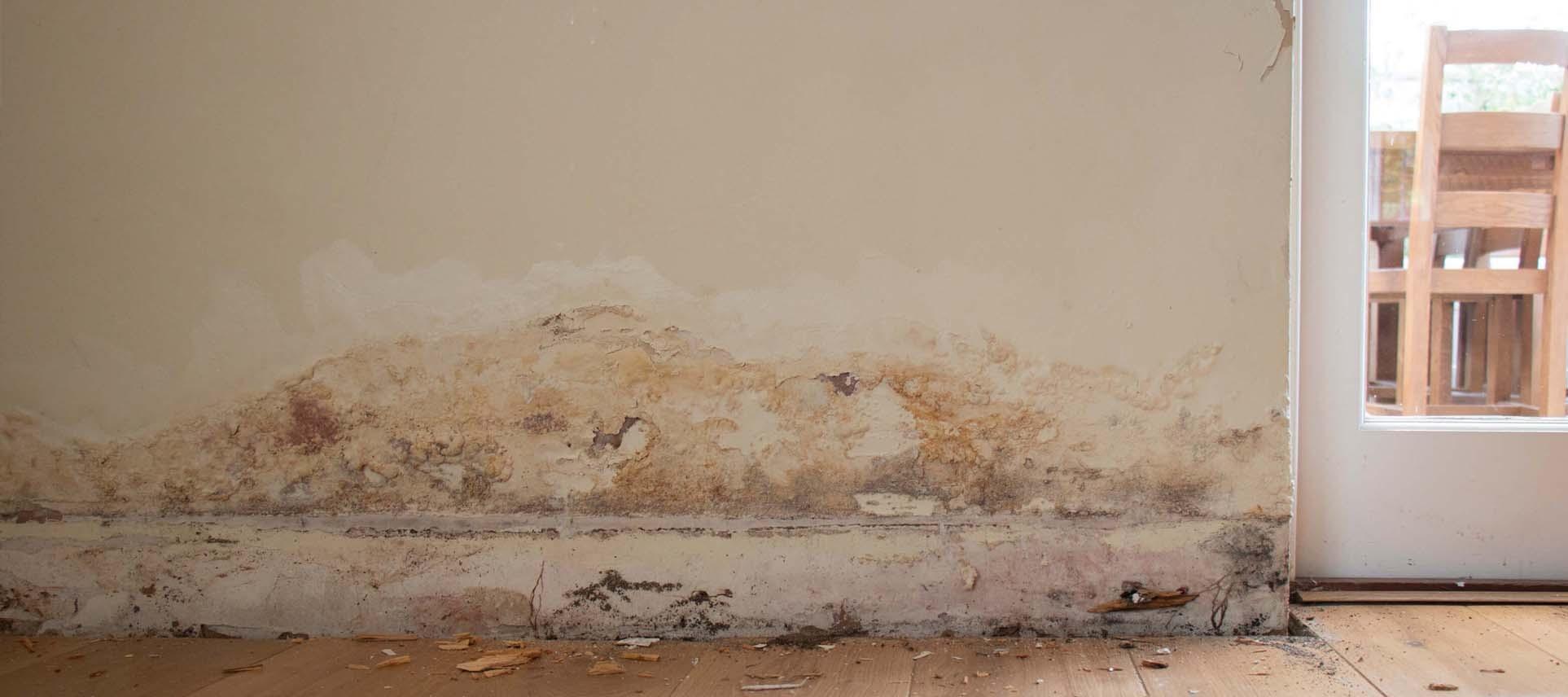 7 ways to damp proof your property